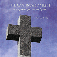 June 28 bulletin